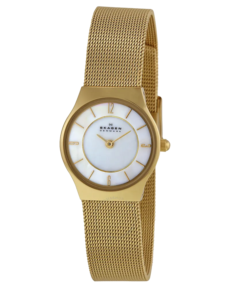 Skagen Womens Stainless Steel Watch 233XSGG Alexander Clocks and